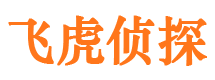 于田市侦探公司